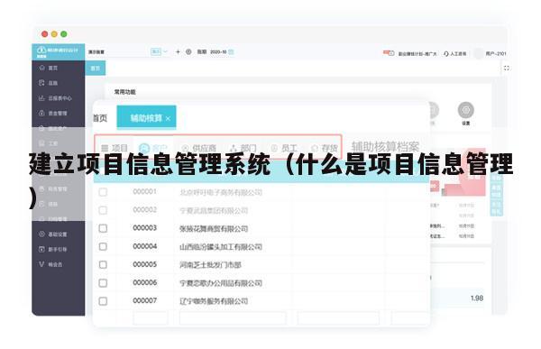 建立项目信息管理系统（什么是项目信息管理）
