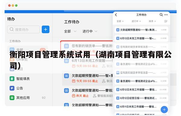 衡阳项目管理系统试用（湖南项目管理有限公司）
