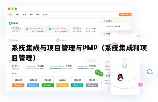 系统集成与项目管理与PMP（系统集成和项目管理）