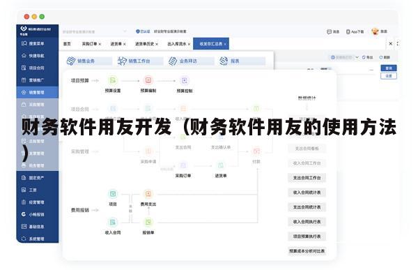 财务软件用友开发（财务软件用友的使用方法）