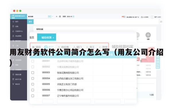 用友财务软件公司简介怎么写（用友公司介绍）