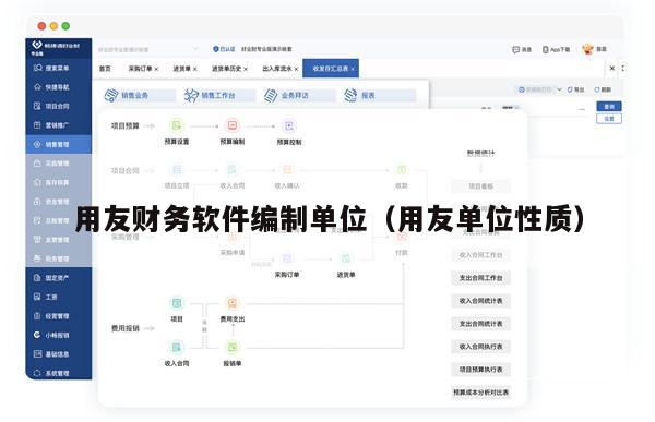 用友财务软件编制单位（用友单位性质）