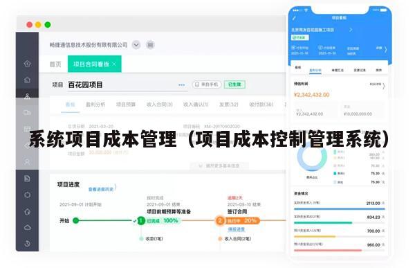 系统项目成本管理（项目成本控制管理系统）