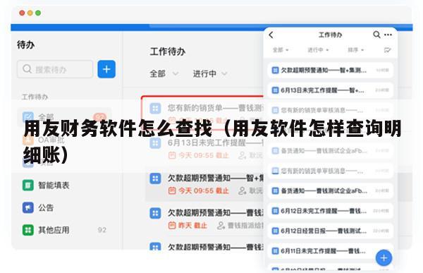 用友财务软件怎么查找（用友软件怎样查询明细账）