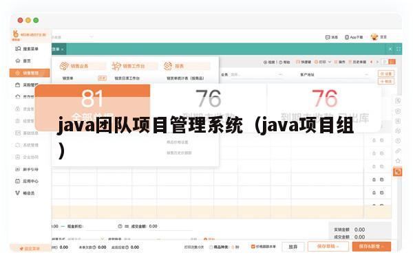 java团队项目管理系统（java项目组）