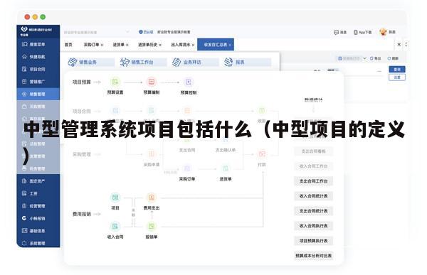 中型管理系统项目包括什么（中型项目的定义）