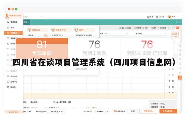 四川省在谈项目管理系统（四川项目信息网）