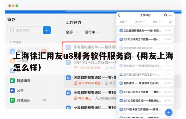 上海徐汇用友u8财务软件服务商（用友上海怎么样）