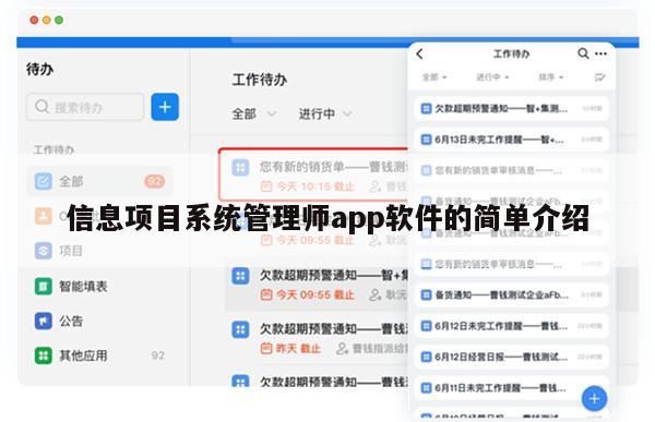 信息项目系统管理师app软件的简单介绍