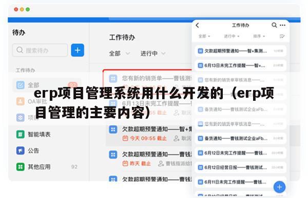 erp项目管理系统用什么开发的（erp项目管理的主要内容）