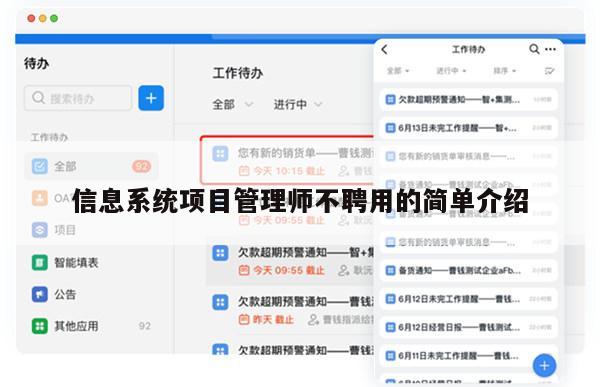 信息系统项目管理师不聘用的简单介绍