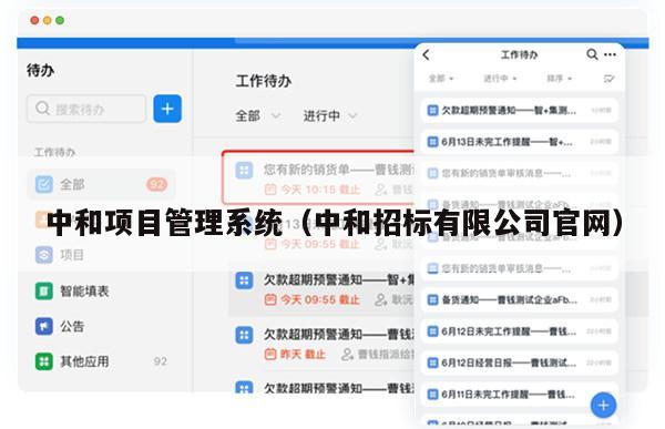 中和项目管理系统（中和招标有限公司官网）