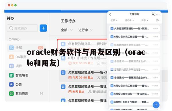 oracle财务软件与用友区别（oracle和用友）