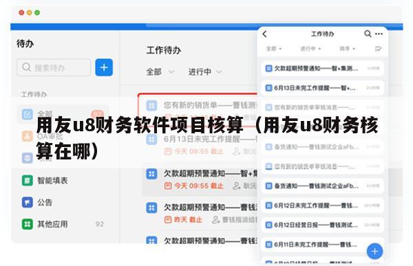 用友u8财务软件项目核算（用友u8财务核算在哪）