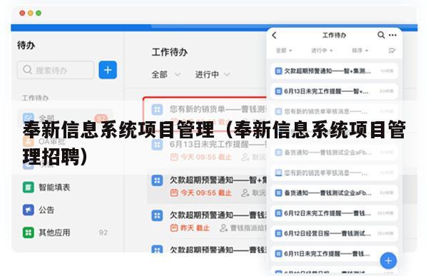 奉新信息系统项目管理（奉新信息系统项目管理招聘）