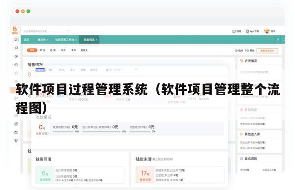 软件项目过程管理系统（软件项目管理整个流程图）