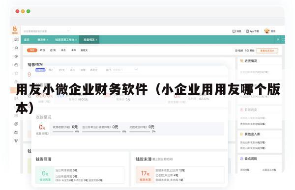 用友小微企业财务软件（小企业用用友哪个版本）