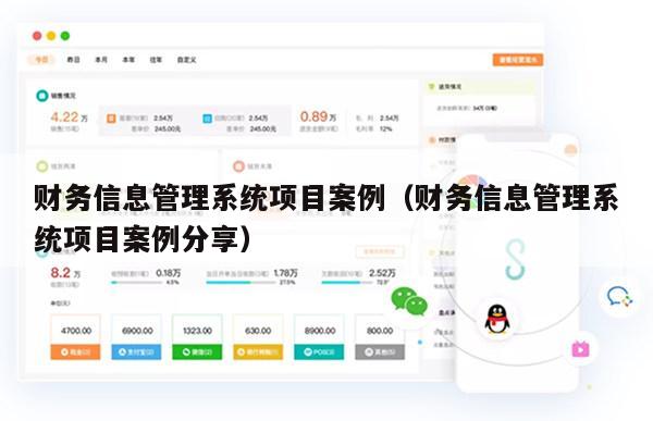 财务信息管理系统项目案例（财务信息管理系统项目案例分享）