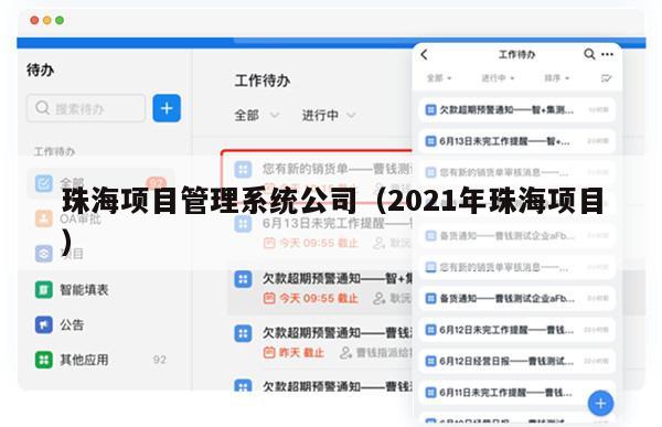 珠海项目管理系统公司（2021年珠海项目）