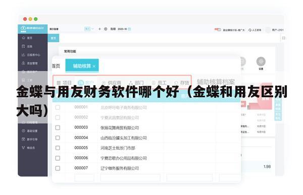 金蝶与用友财务软件哪个好（金蝶和用友区别大吗）