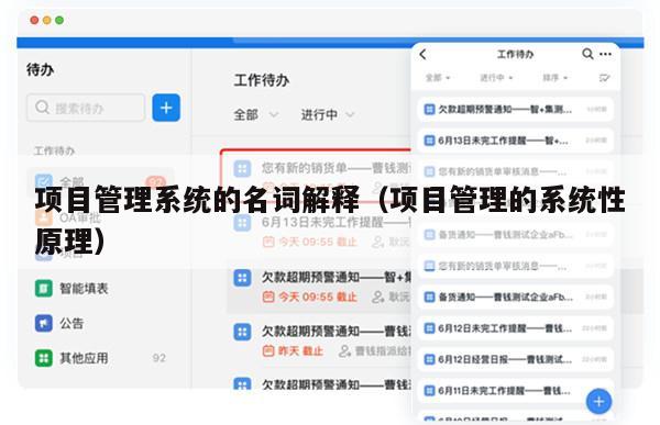 项目管理系统的名词解释（项目管理的系统性原理）
