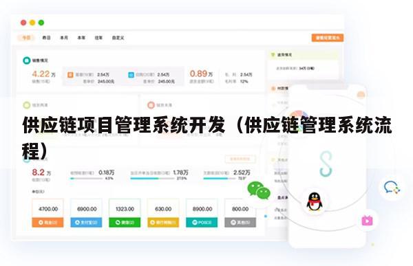 供应链项目管理系统开发（供应链管理系统流程）