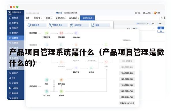 产品项目管理系统是什么（产品项目管理是做什么的）