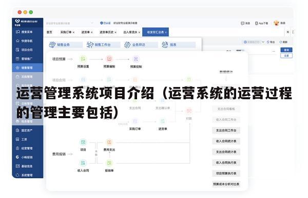 运营管理系统项目介绍（运营系统的运营过程的管理主要包括）