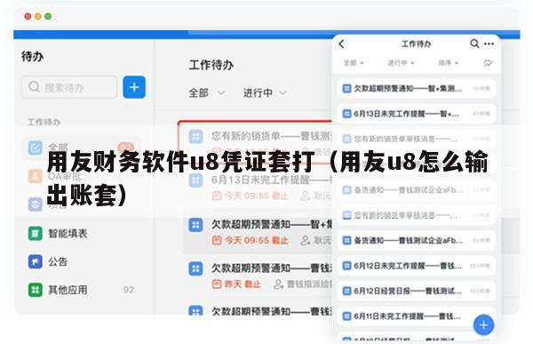 用友财务软件u8凭证套打（用友u8怎么输出账套）