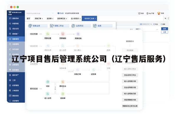 辽宁项目售后管理系统公司（辽宁售后服务）
