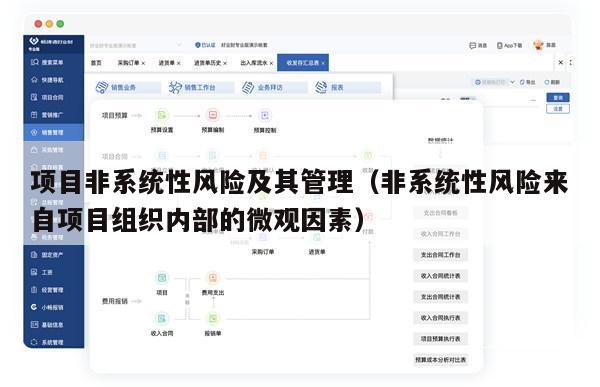 项目非系统性风险及其管理（非系统性风险来自项目组织内部的微观因素）