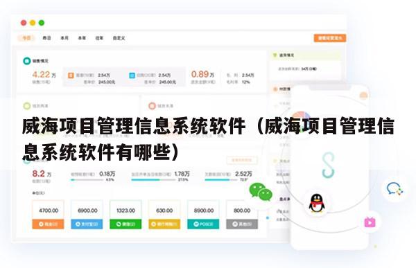 威海项目管理信息系统软件（威海项目管理信息系统软件有哪些）