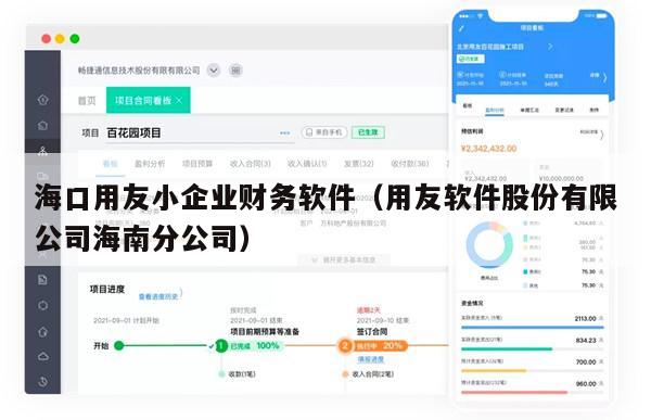 海口用友小企业财务软件（用友软件股份有限公司海南分公司）