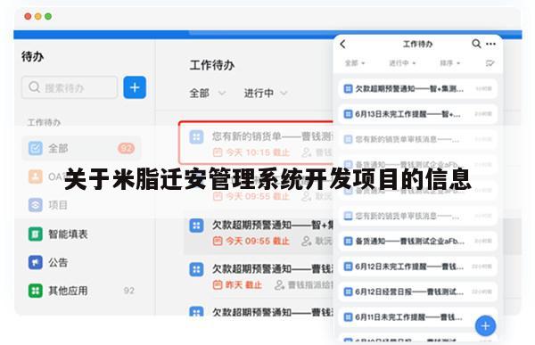 关于米脂迁安管理系统开发项目的信息