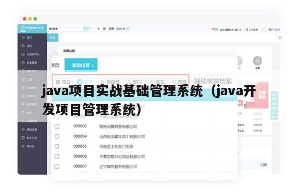 java项目实战基础管理系统（java开发项目管理系统）