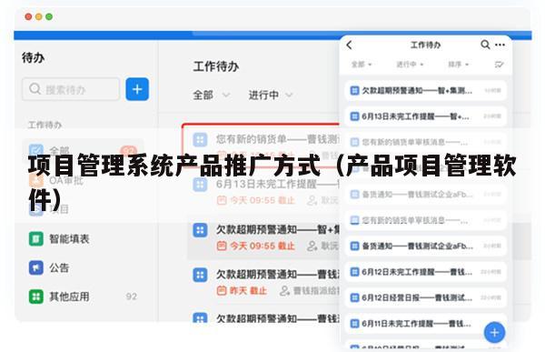 项目管理系统产品推广方式（产品项目管理软件）