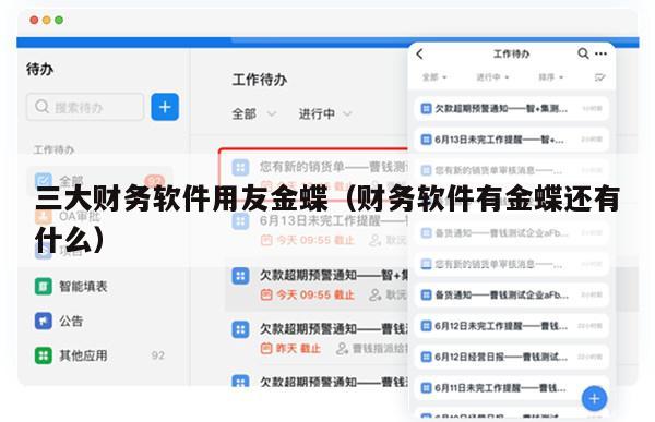 三大财务软件用友金蝶（财务软件有金蝶还有什么）