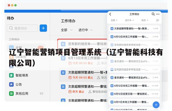 辽宁智能营销项目管理系统（辽宁智能科技有限公司）