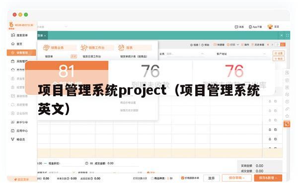 项目管理系统project（项目管理系统英文）