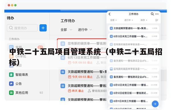 中铁二十五局项目管理系统（中铁二十五局招标）