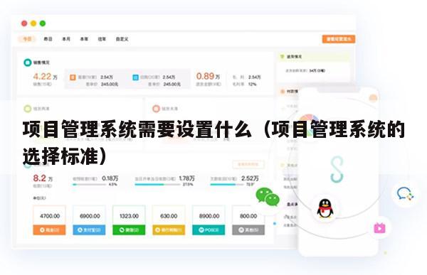 项目管理系统需要设置什么（项目管理系统的选择标准）