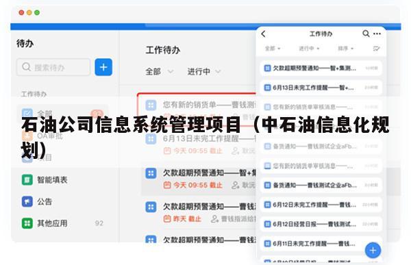 石油公司信息系统管理项目（中石油信息化规划）