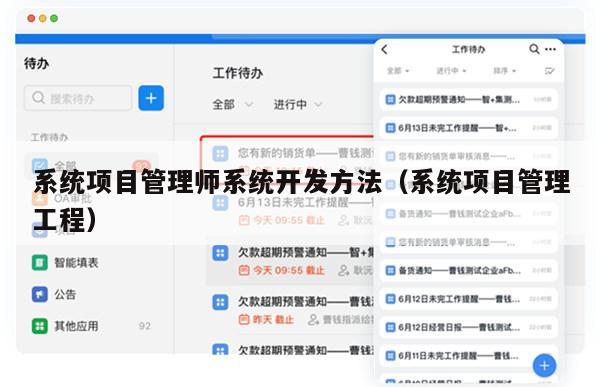 系统项目管理师系统开发方法（系统项目管理工程）