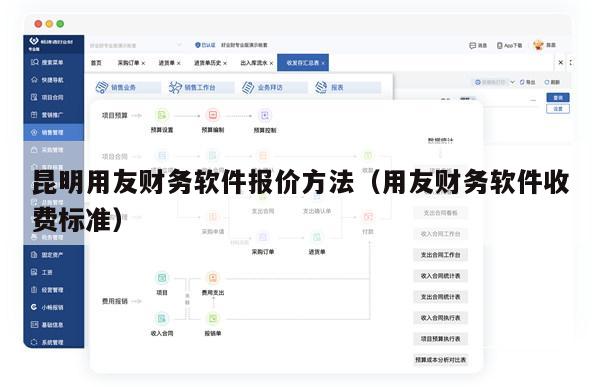 昆明用友财务软件报价方法（用友财务软件收费标准）
