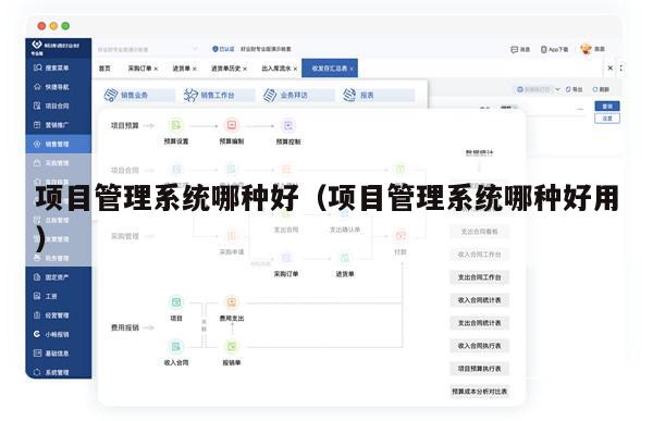 项目管理系统哪种好（项目管理系统哪种好用）
