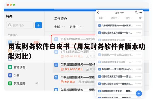 用友财务软件白皮书（用友财务软件各版本功能对比）