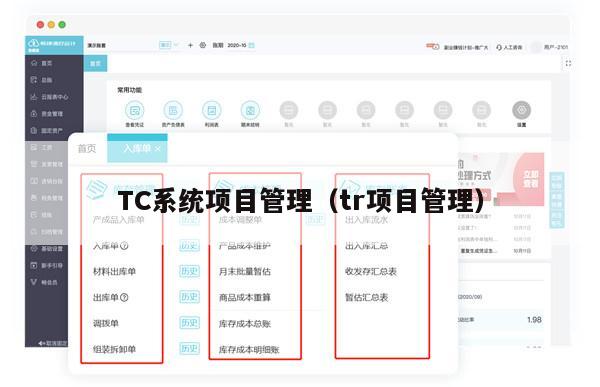 TC系统项目管理（tr项目管理）