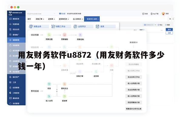 用友财务软件u8872（用友财务软件多少钱一年）