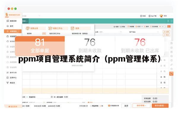 ppm项目管理系统简介（ppm管理体系）