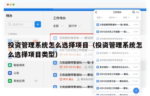 投资管理系统怎么选择项目（投资管理系统怎么选择项目类型）